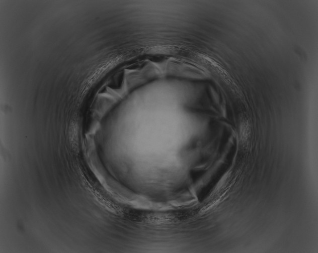X0000090480444200708031128