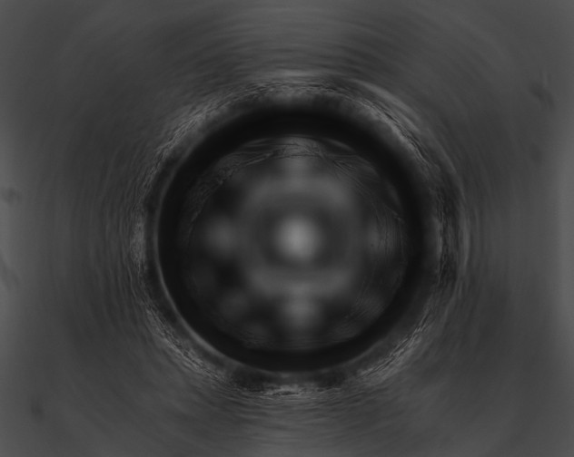 X0000090480447200708031128
