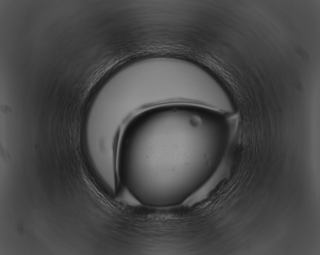 X0000090480448200708031128