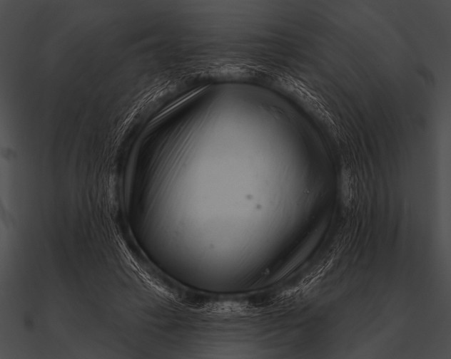 X0000090480449200708031128