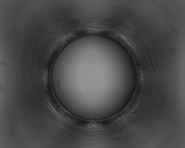 X0000090480451200708031128