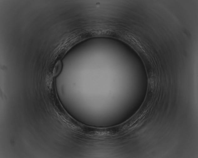 X0000090480458200708031128