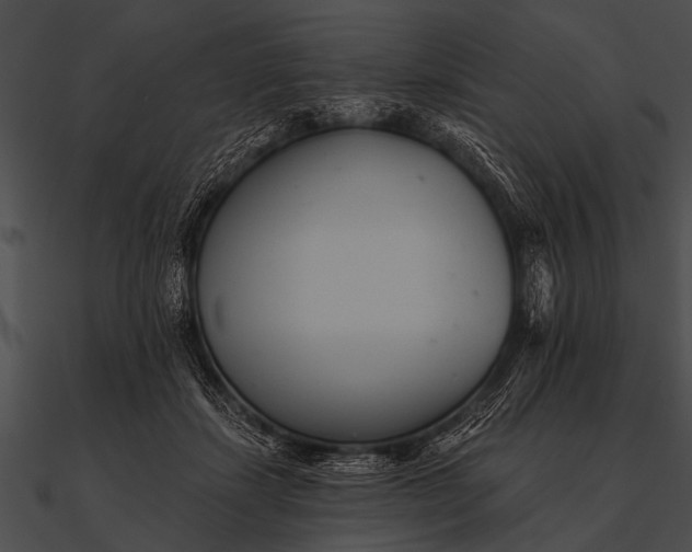 X0000090480459200708031128