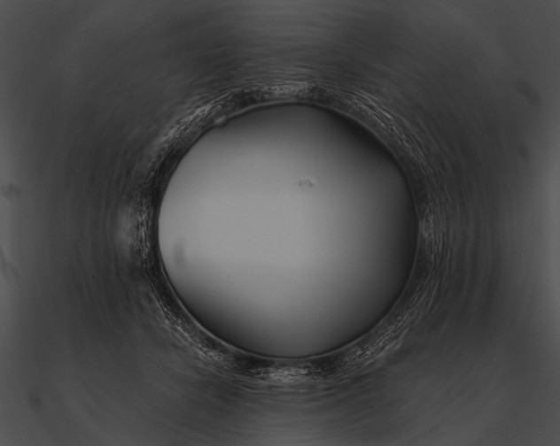 X0000090480462200708031128