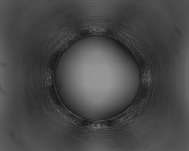 X0000090480464200708031128