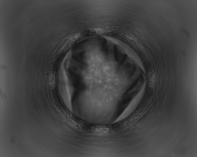 X0000090480471200708031128