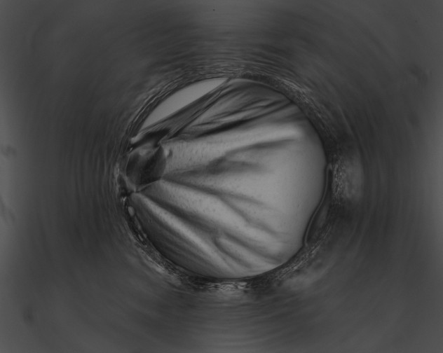 X0000090480474200708031128