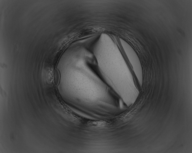 X0000090480478200708031128