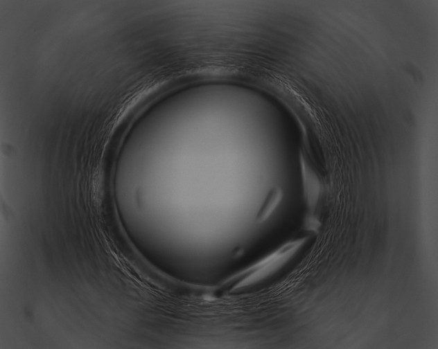 X0000090480484200708031128
