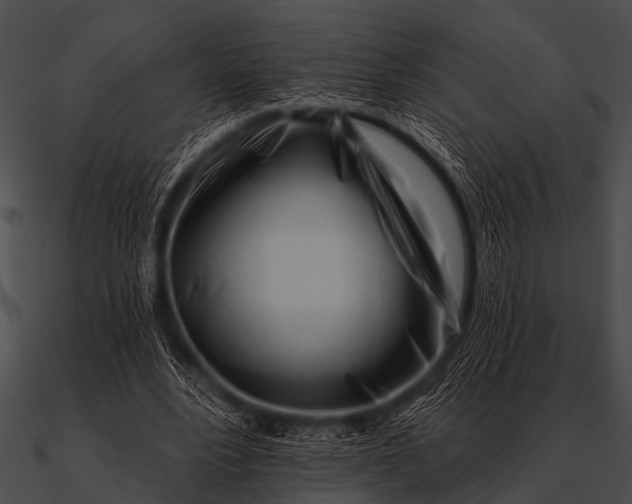 X0000090480488200708031128