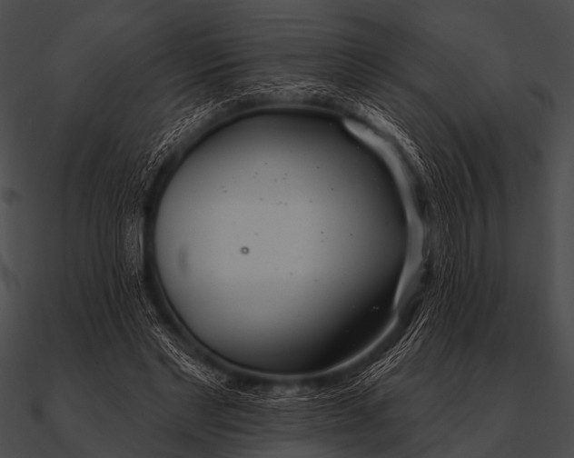 X0000090480493200708031128