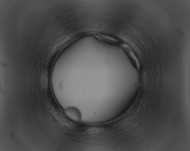 X0000090480494200708031128