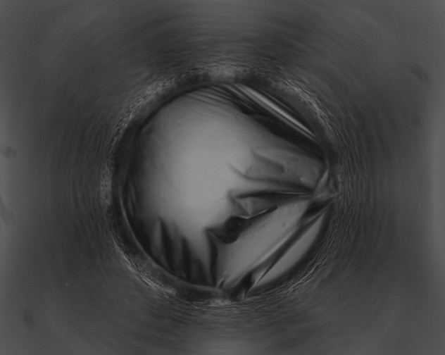 X0000090480496200708031128