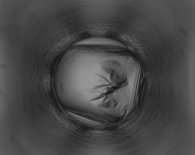X0000090480498200708031128