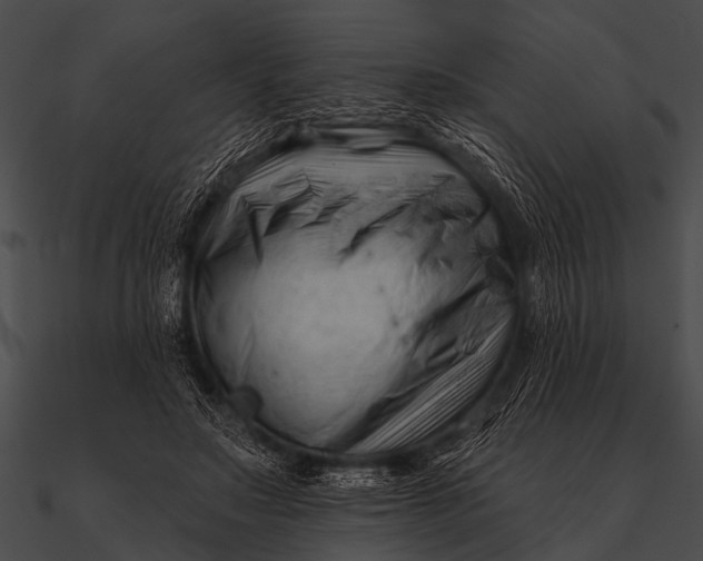 X0000090480499200708031127
