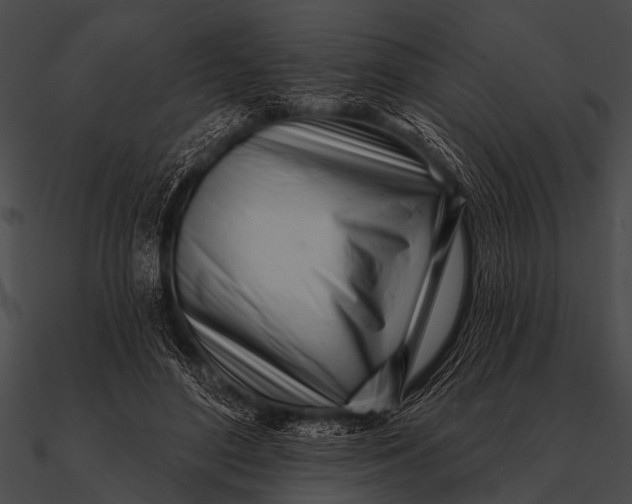 X0000090480500200708031127