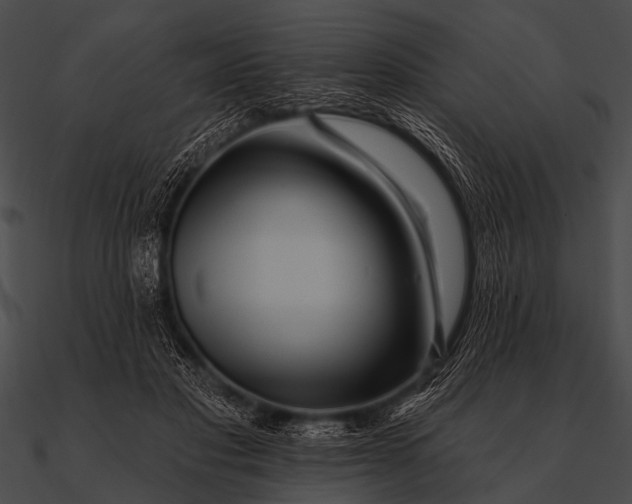 X0000090480501200708031127