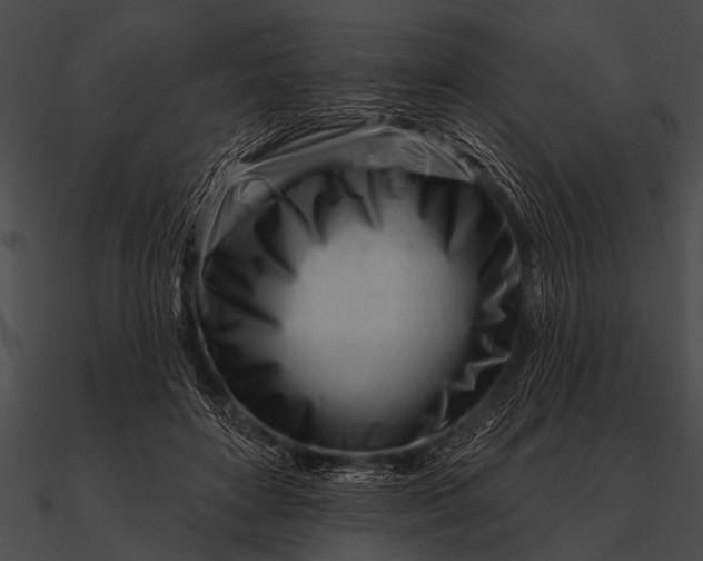 X0000090480504200708031127