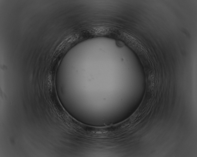 X0000090480506200708031127