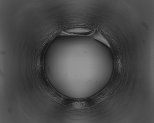 X0000090480508200708031127