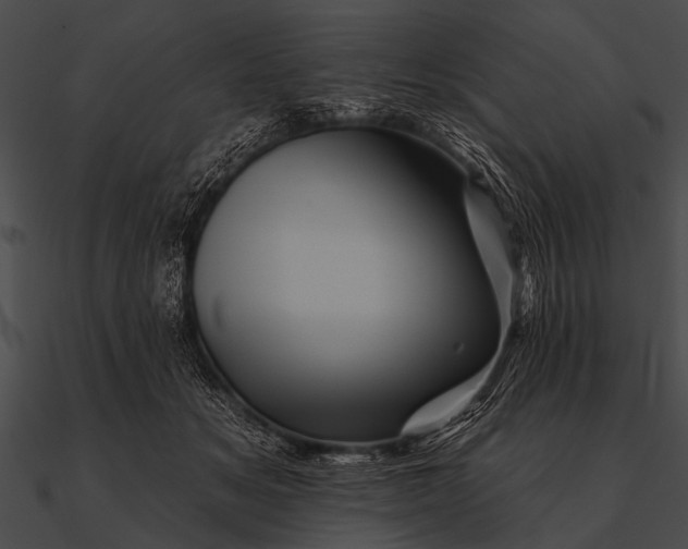 X0000090480509200708031127