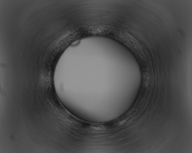 X0000090480510200708031127