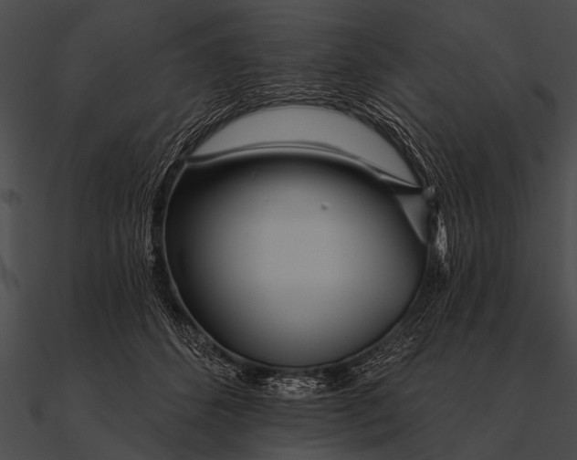 X0000090480512200708031127