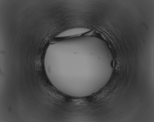X0000090480516200708031127