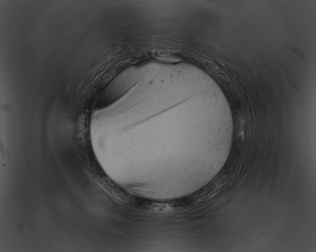 X0000090480519200708031127