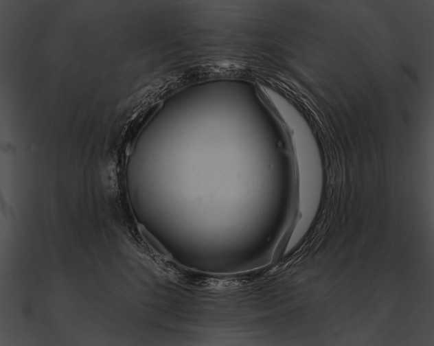 X0000090480520200708031127