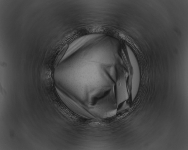 X0000090480521200708031127