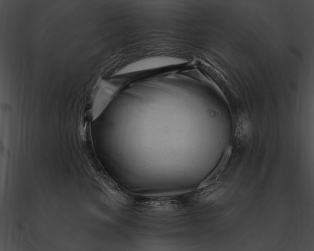 X0000090480524200708031127