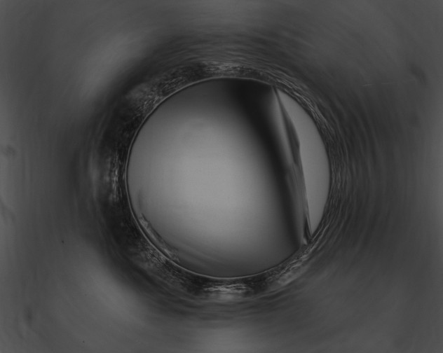X0000090480525200708031127
