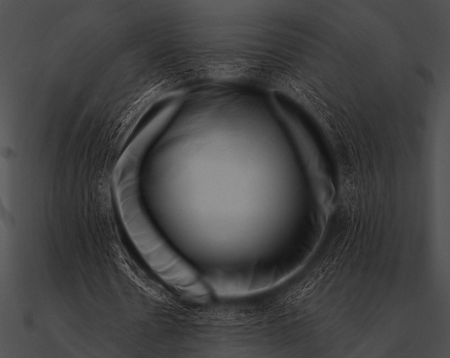 X0000090480530200708031127