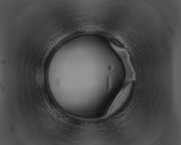 X0000090480531200708031127