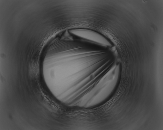 X0000090480532200708031127