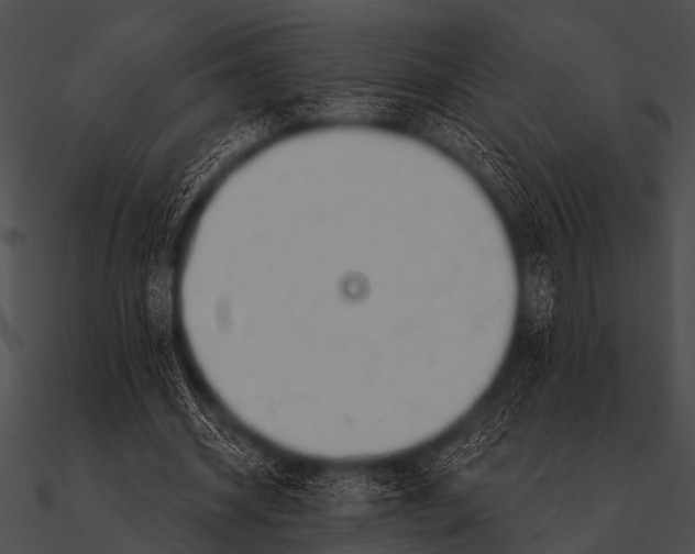 X0000090480534200708031127