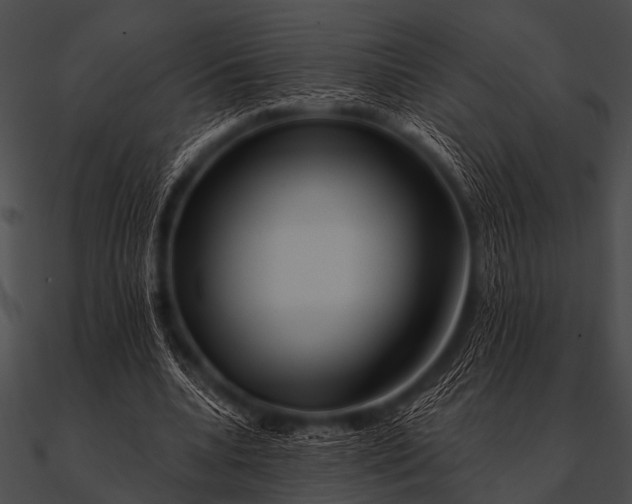 X0000090480536200708031127