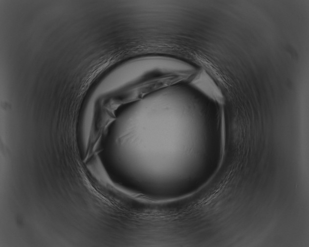 X0000090480538200708031127