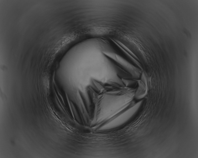 X0000090480539200708031127