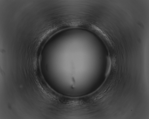 X0000090480540200708031127