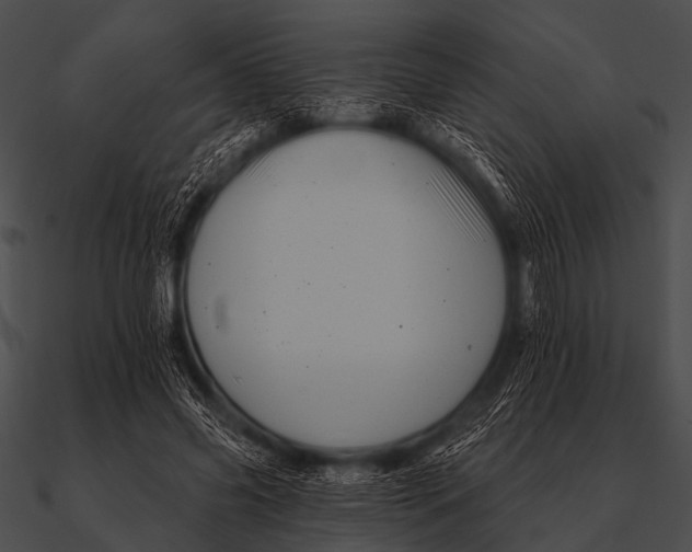 X0000090480541200708031127
