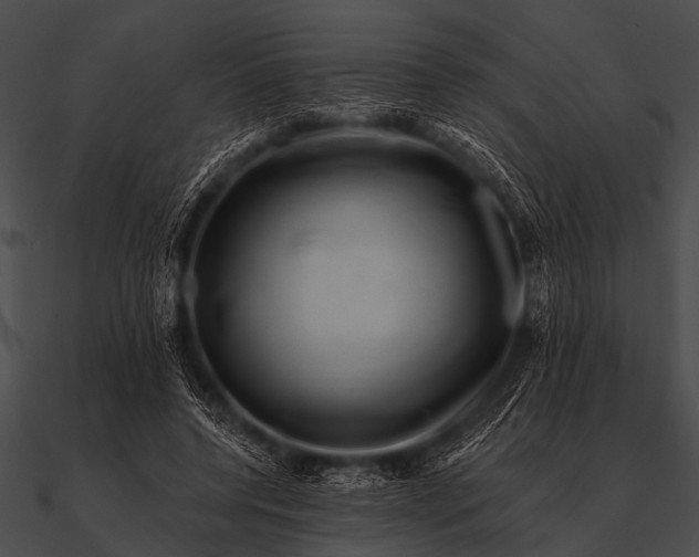X0000090480544200708031127