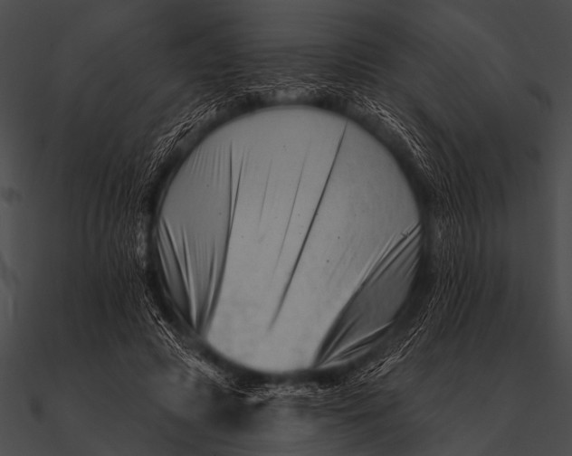 X0000090480545200708031127