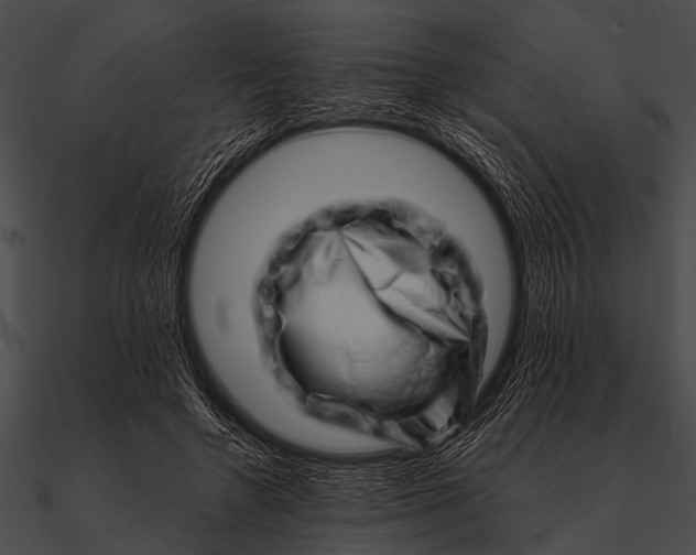 X0000090480546200708031127