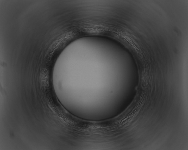 X0000090480547200708031127