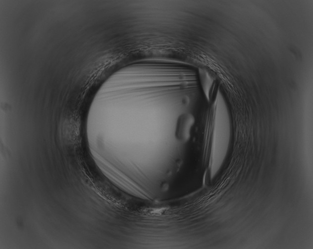 X0000090480548200708031127