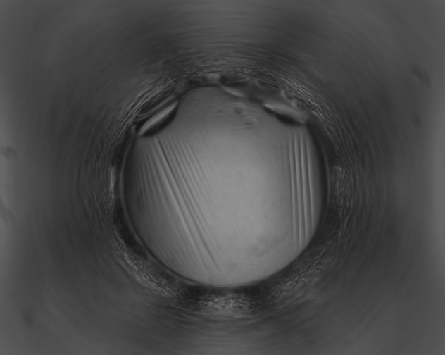 X0000090480550200708031127