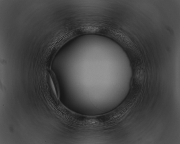 X0000090480551200708031127
