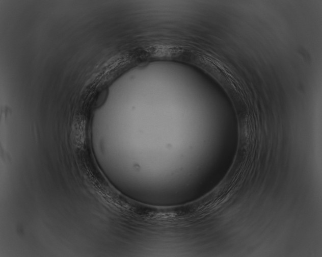 X0000090480554200708031127